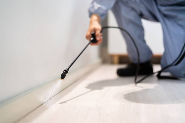 Professional exterminator conducting IPM assessment in Carson
