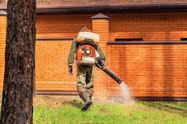 Top rated local Mosquito Control specialists in Carson, WA